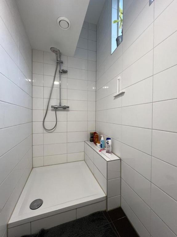兹沃勒Stadslogement Goudsteeg 19B公寓 外观 照片