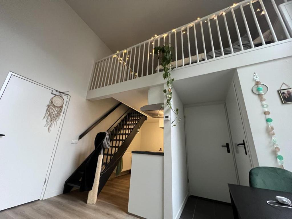 兹沃勒Stadslogement Goudsteeg 19B公寓 外观 照片
